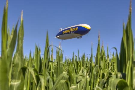 diploma Kramar Janez - Vstajenje